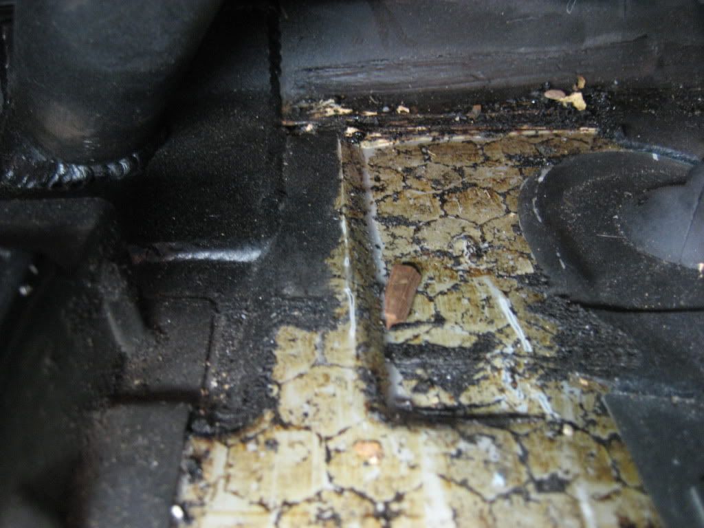 My rear end creaking and popping (problem identified)